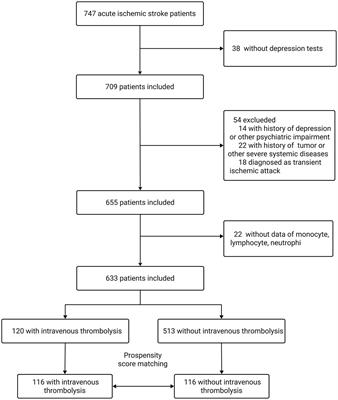 Intravenous thrombolysis and risk of early-onset post-stroke depression: a propensity score matched cohort study